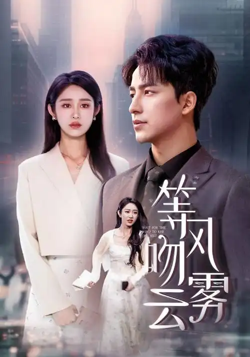 雾中灯塔 热播电视剧全集在线观看